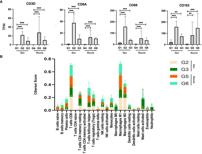 Figure 4