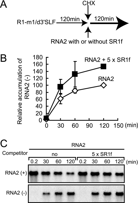 FIG. 9.