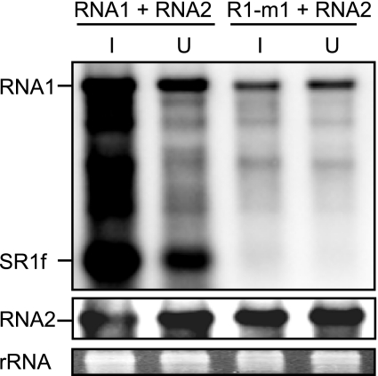 FIG. 11.