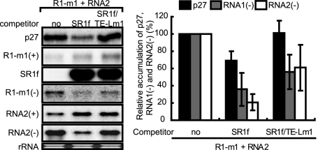 FIG. 8.