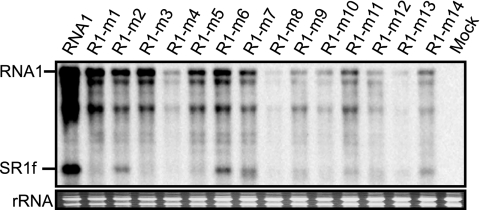 FIG. 10.