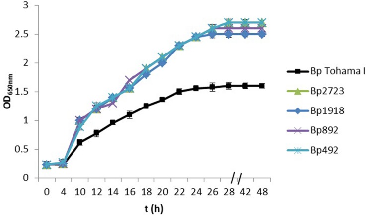 FIGURE 1