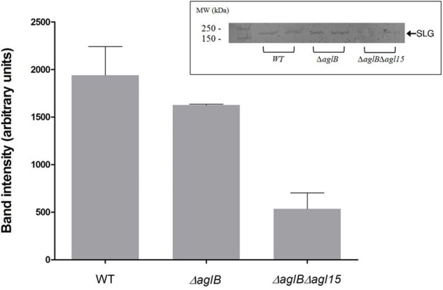 FIGURE 4