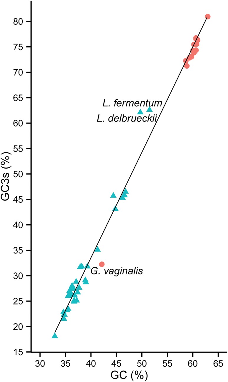 Fig. 1.—