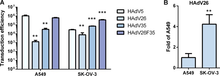 FIG 2