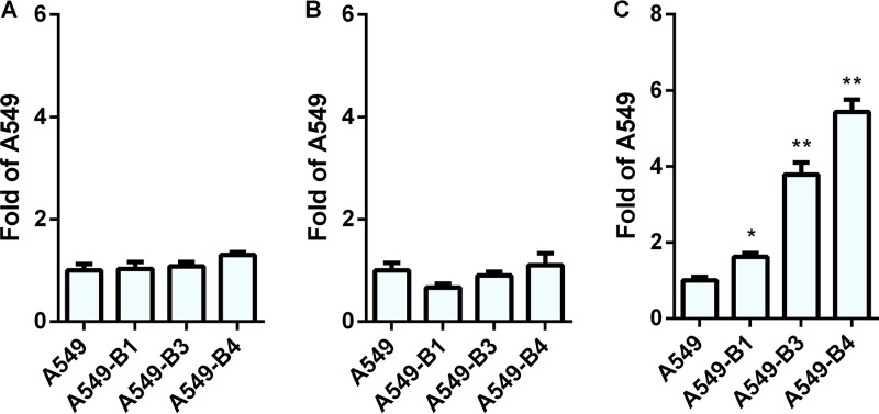 FIG 14