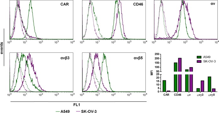 FIG 1