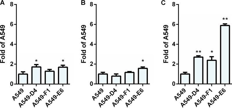 FIG 12