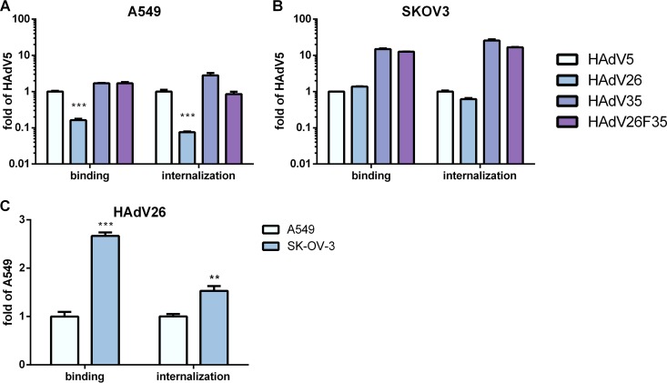 FIG 3