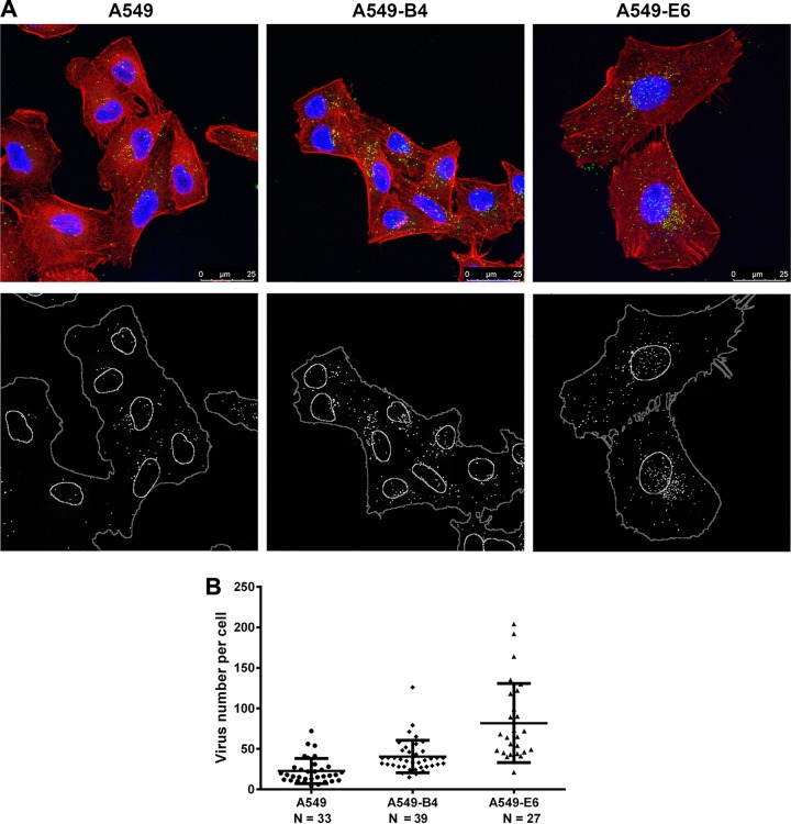 FIG 16