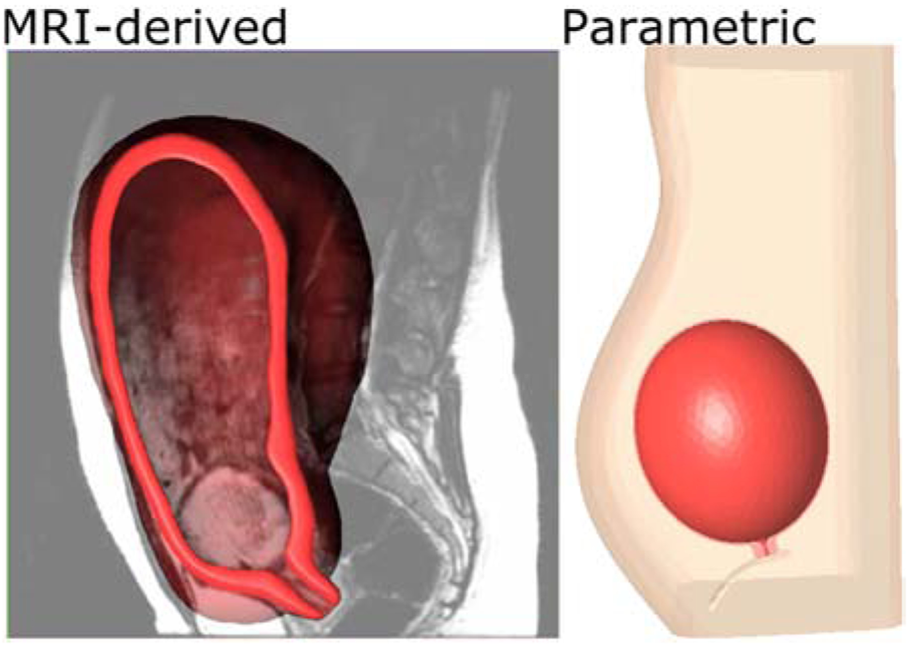 Fig. 2 –