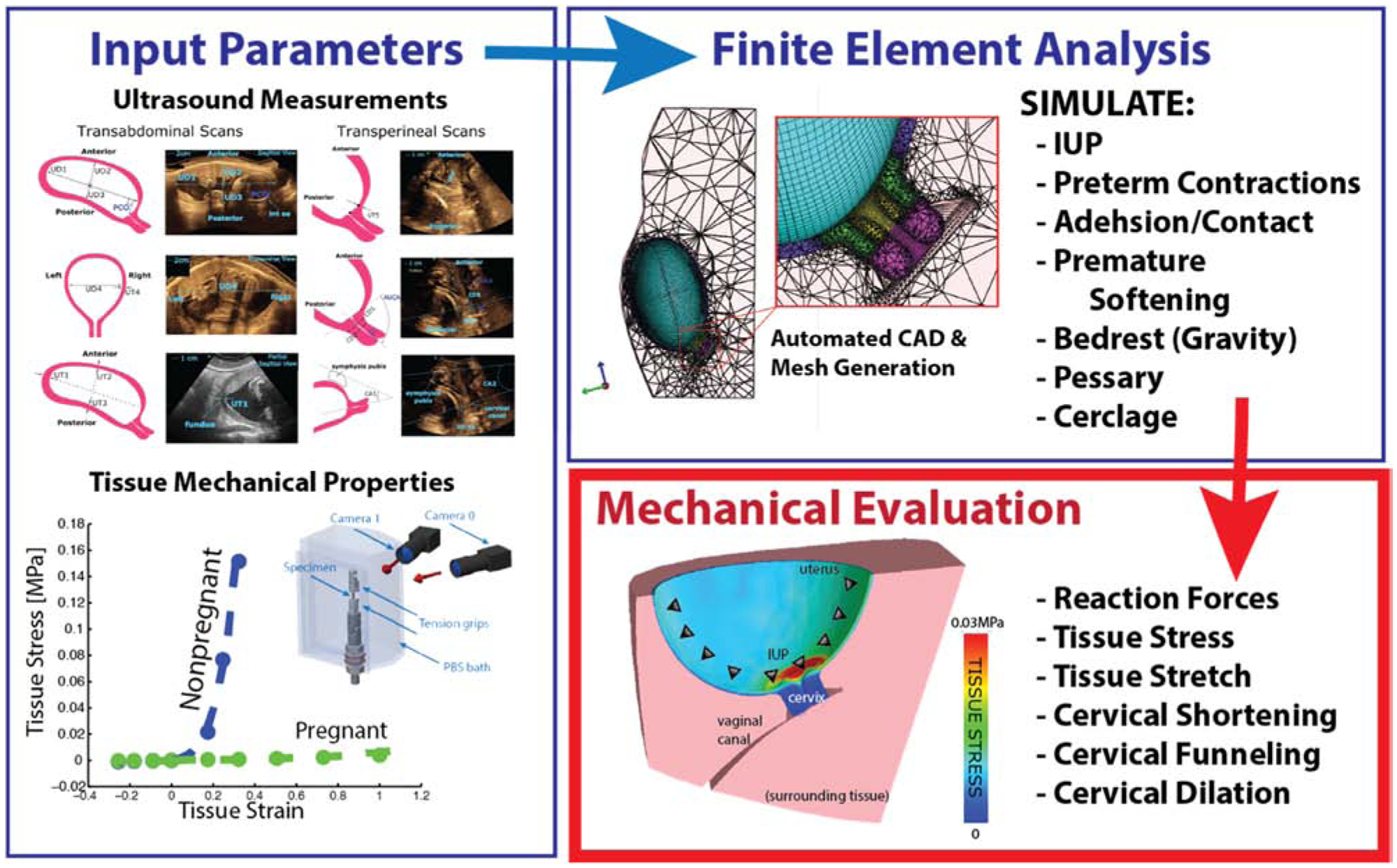 Fig. 1 –