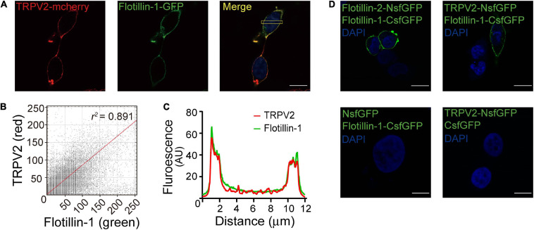 FIGURE 2