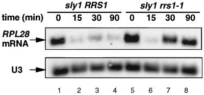 FIG. 3