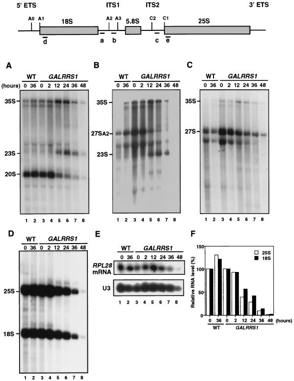 FIG. 9