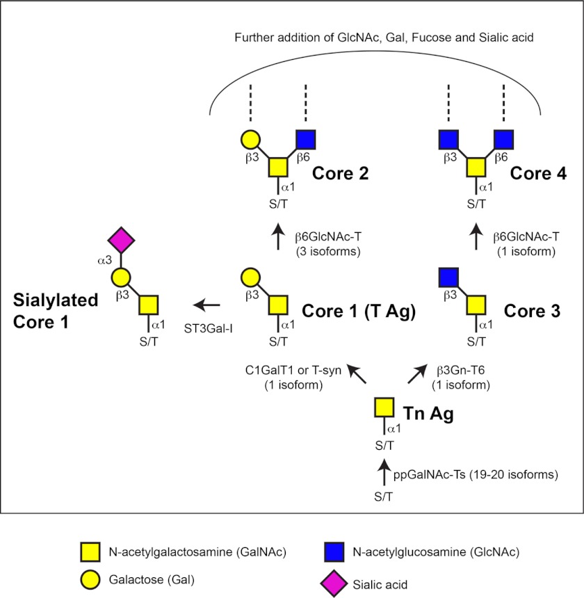 FIGURE 1.