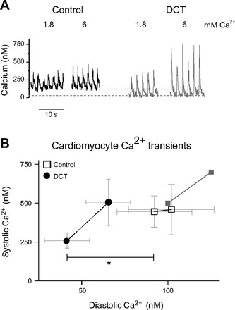 Fig. 8.