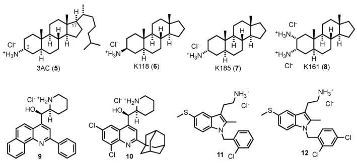 Figure 7