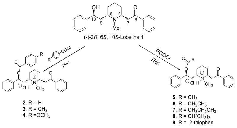 Scheme 1