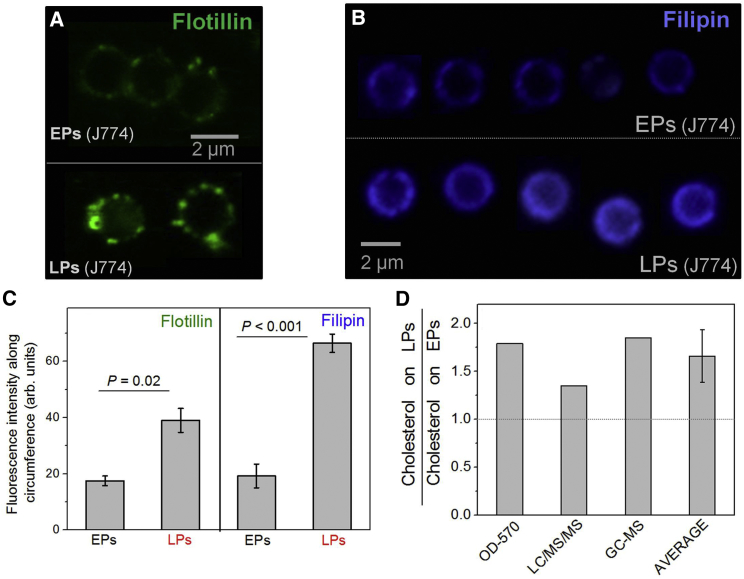 Figure 4