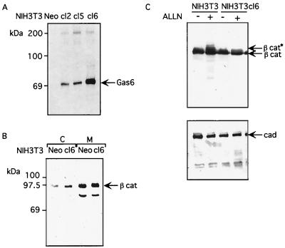 FIG. 8