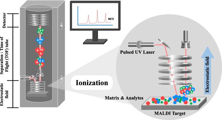 Fig. 2