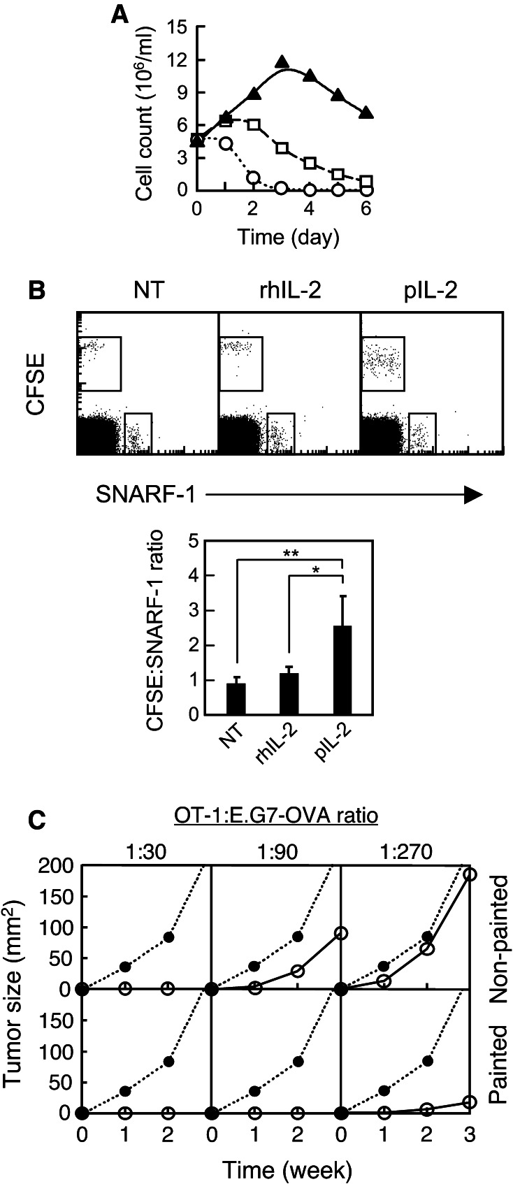 Fig. 2