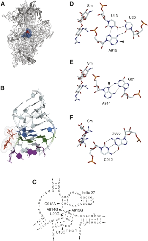 FIGURE 1.