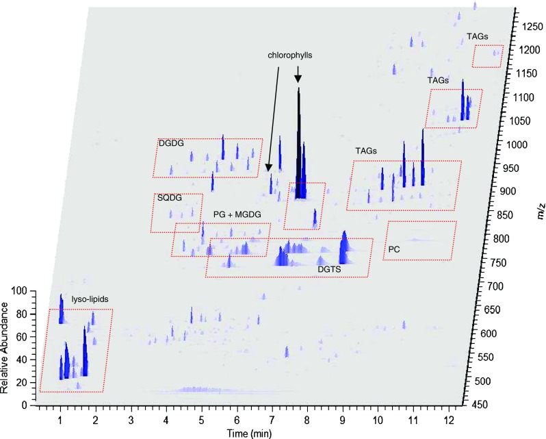 Fig. 2