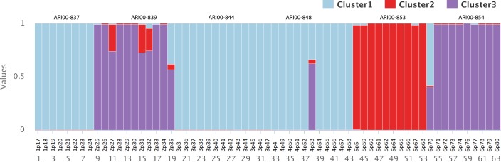 Fig 3