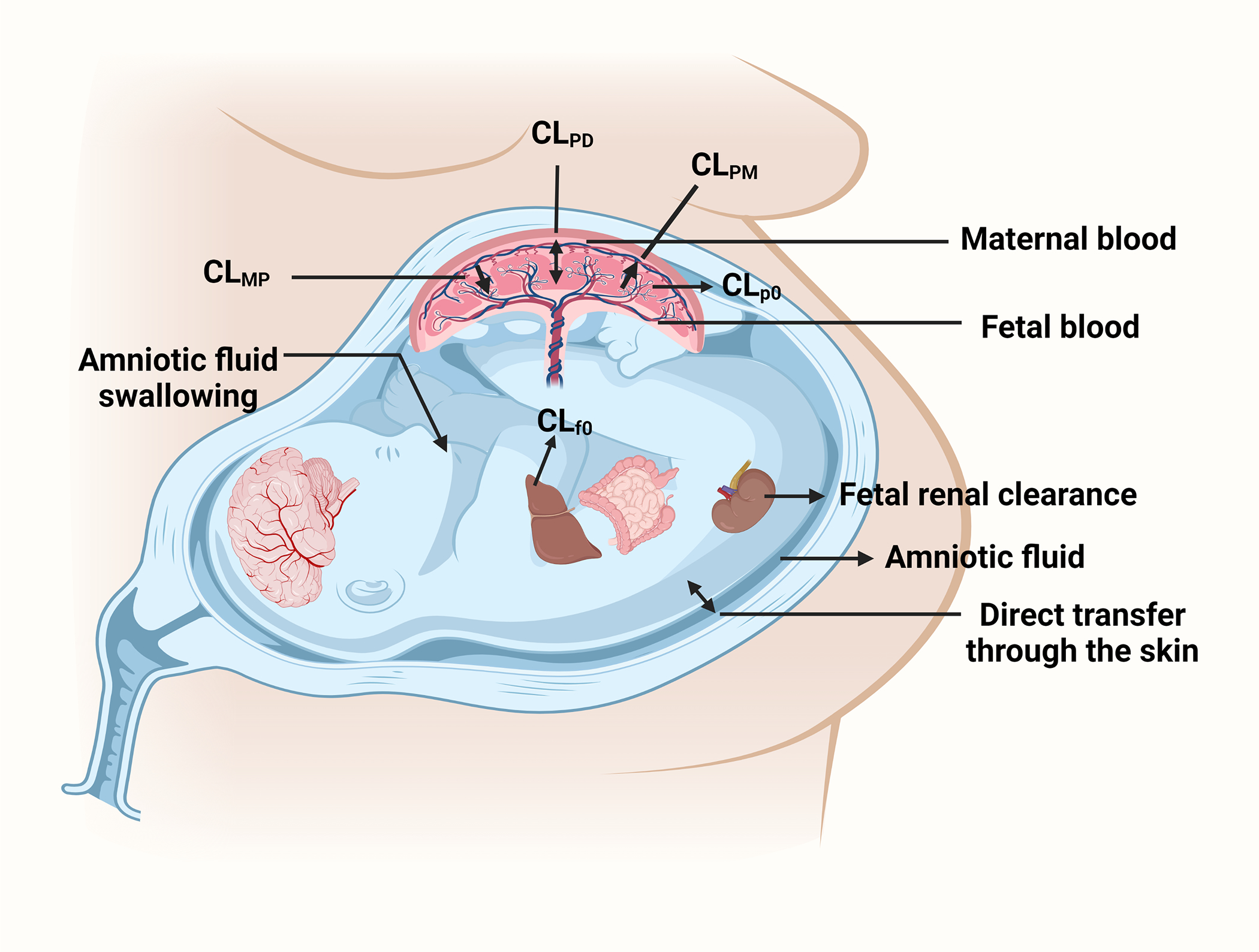 Figure 1: