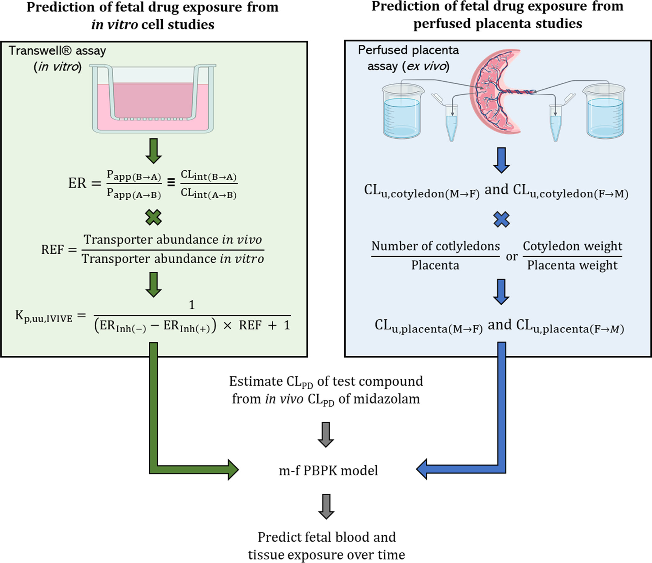 Figure 2: