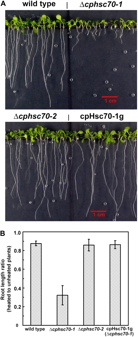 Figure 7.