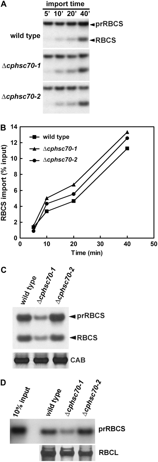 Figure 5.