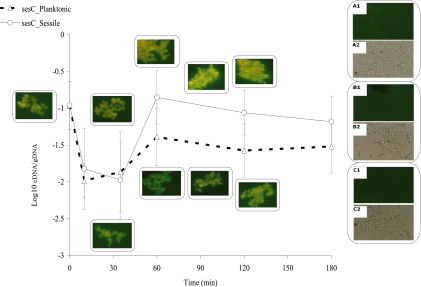 FIG. 1.