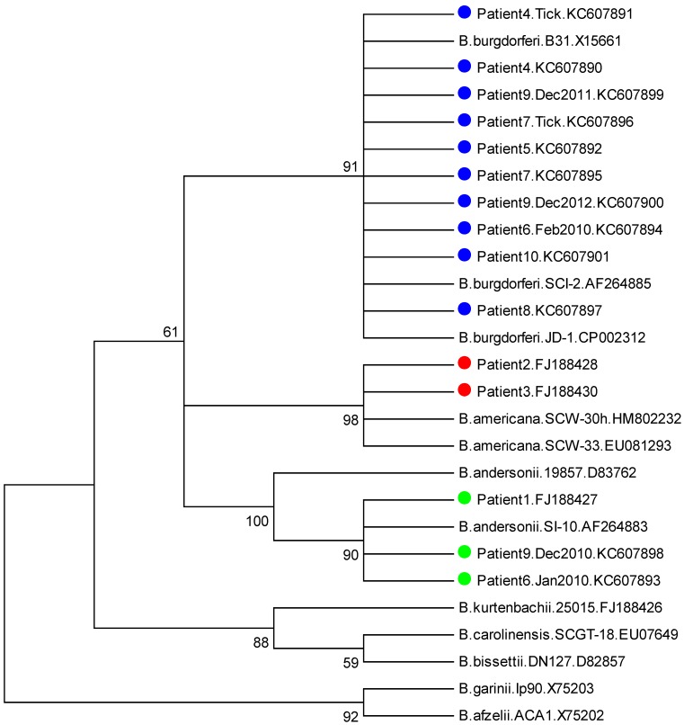 Fig 3