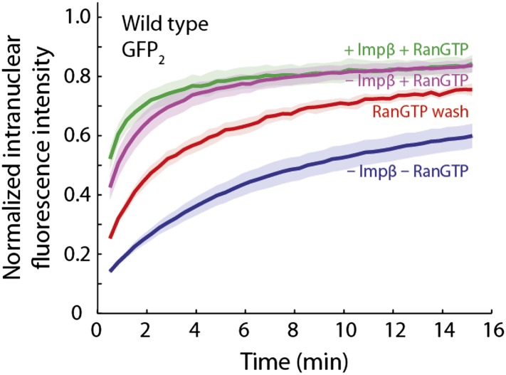 Figure 5—figure supplement 1.