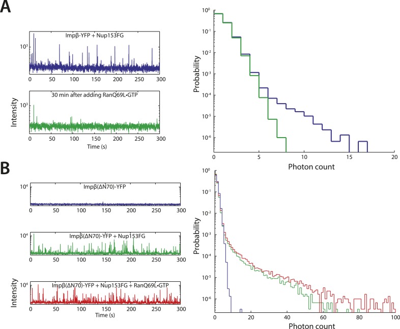 Figure 6—figure supplement 1.