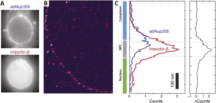 Figure 3—figure supplement 2.