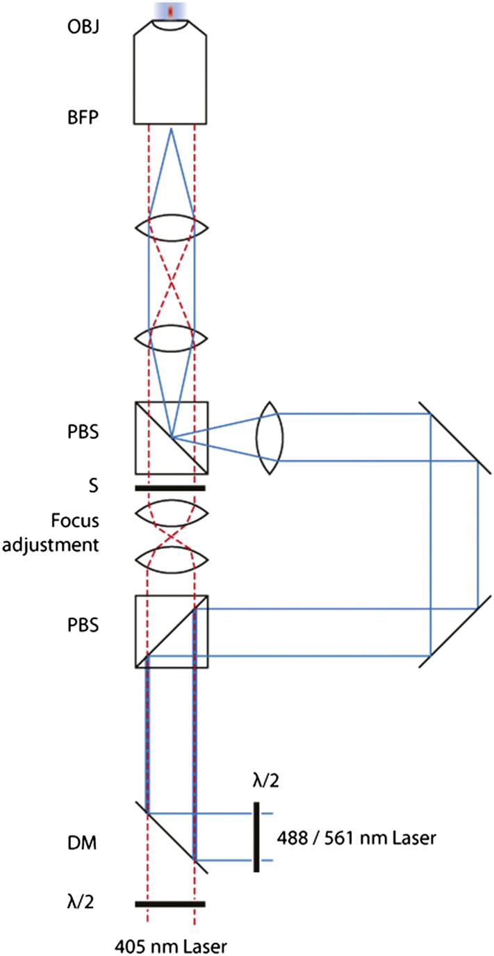 Figure 1—figure supplement 2.