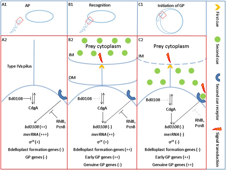 Fig. 6.