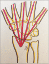 Fig. 7