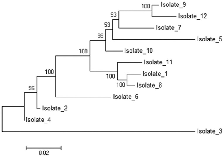 Fig. 4