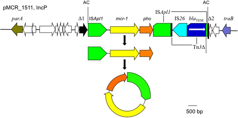 FIGURE 6