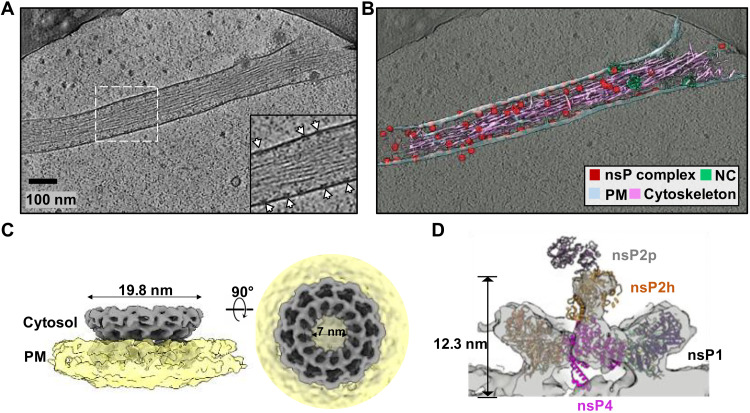 Fig. 4.