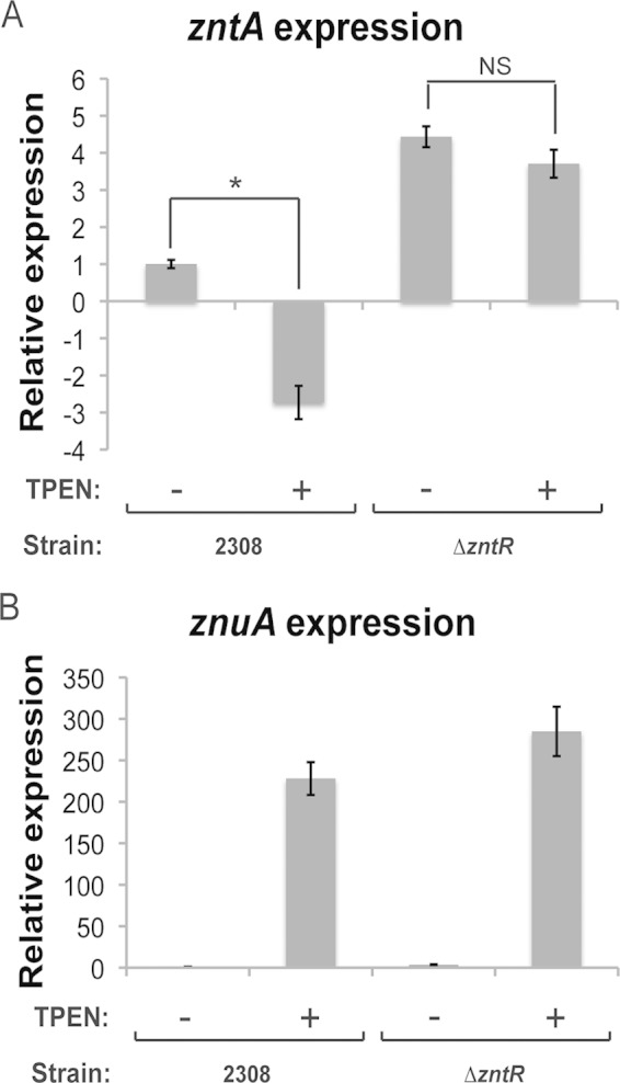 FIG 2