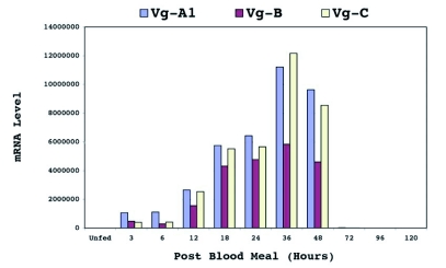 Figure 10. 