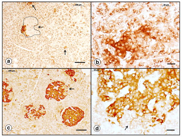 Fig. 13