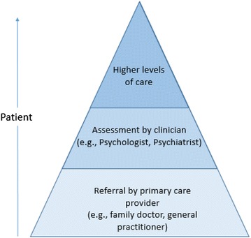 Fig. 1