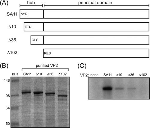 FIG. 5.